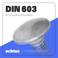 Schlossschrauben M10x45 Edelstahl A2 mit Vierkantansatz Vollgewinde DIN 603