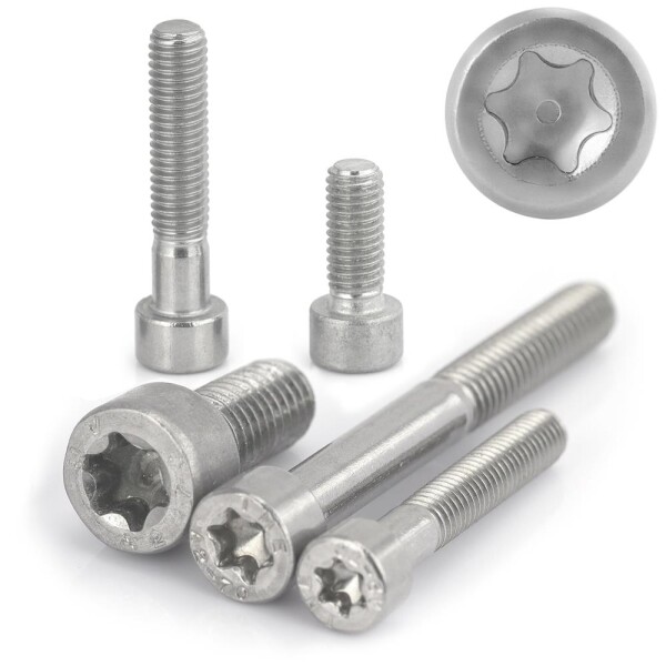 Zylinderschrauben M5x25 Edelstahl A2 mit Innensechsrund (TX) ISO 14579