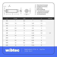 Gewindestifte M8 X 35 mit Innensechskant u. Zapfen DIN 915 Edelstahl A2