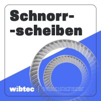 SCHNORR-Sicherungsscheibe M8 Form S Edelstahl A2 - Schnorrscheibe